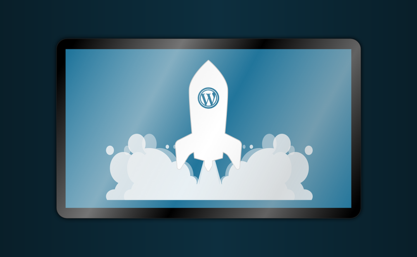 What Are WordPress Plugins?